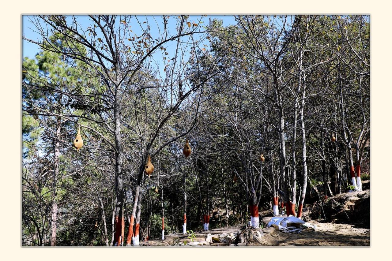 The Ranikhet Continental酒店 外观 照片