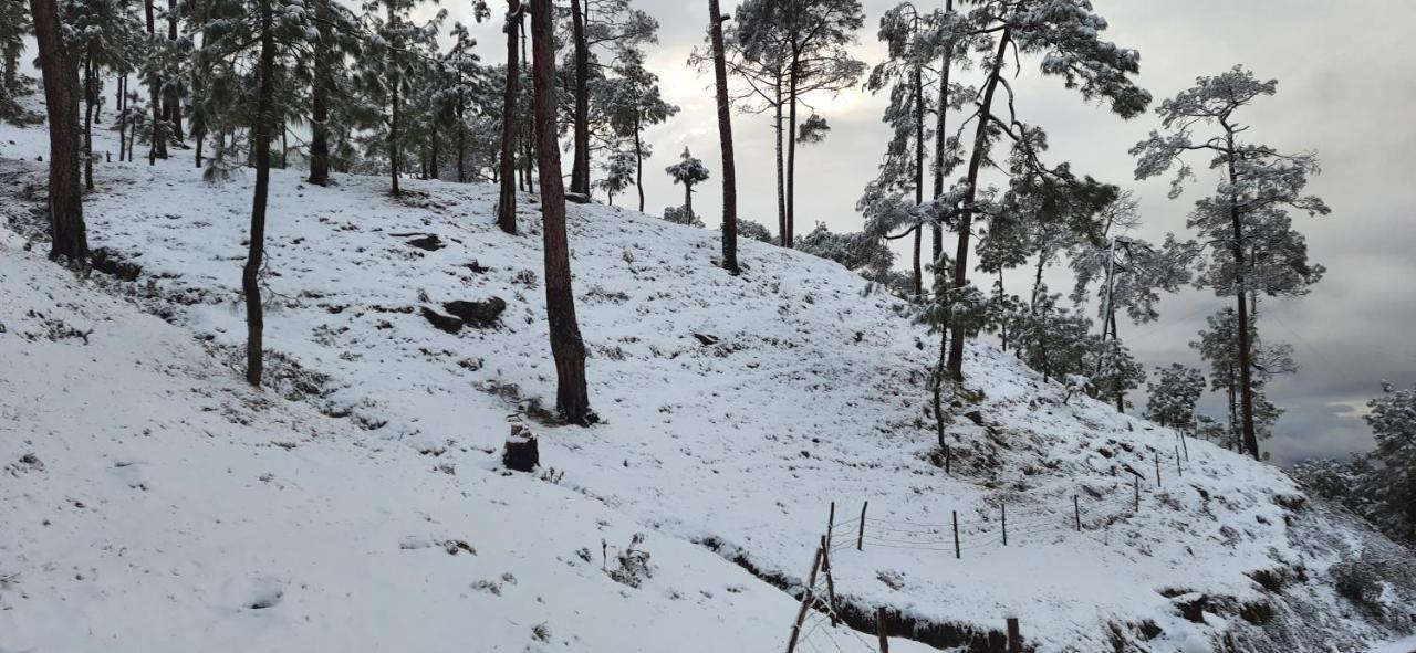 The Ranikhet Continental酒店 外观 照片